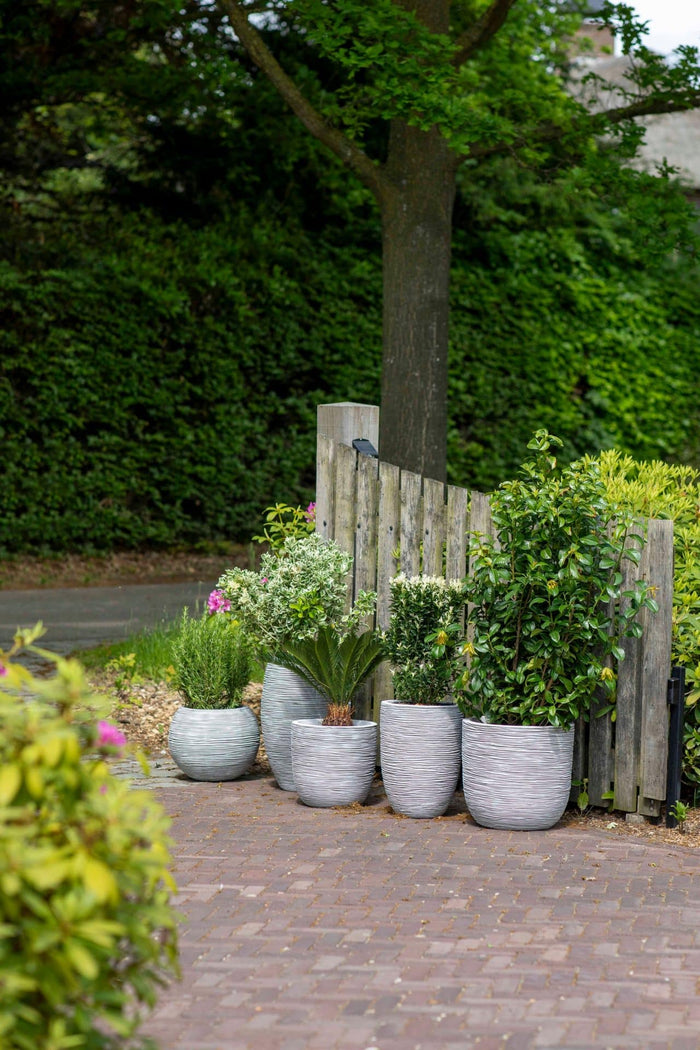 Capi Europe Vaas elegant laag Rib NL - 46x58 - Goud