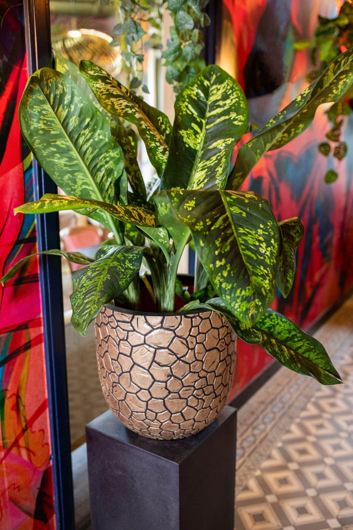 Capi Europe Bloempot bol Clay NL - 43x41 - Goud