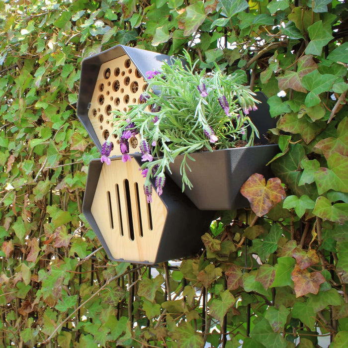 Capi Europe - Vogelhuisje ovaal Hive - 19x23x20 - Antraciet