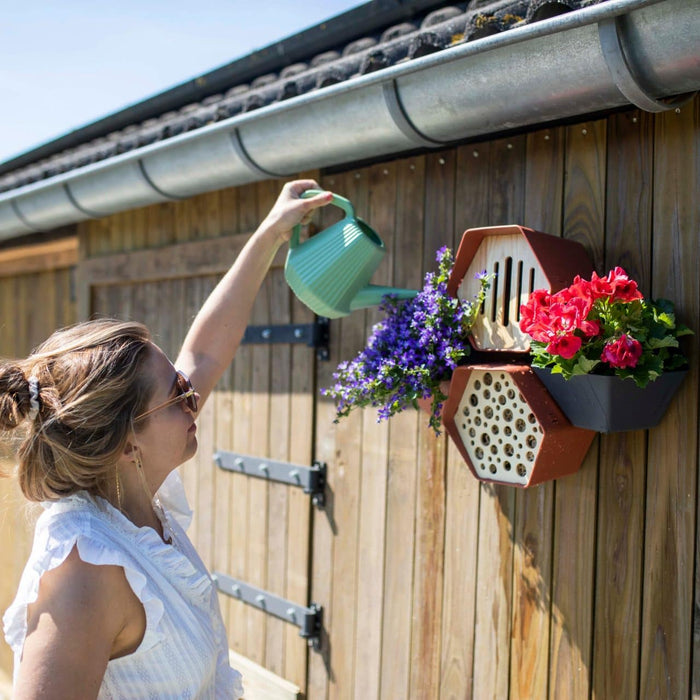 Capi Europe - Vogelhuisje ovaal Hive - 19x23x20 - Antraciet