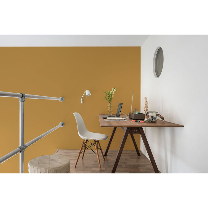 FLEXA-CREATIONS MUURVERF EXTRA MAT-BINTI SUNSET-2,5L