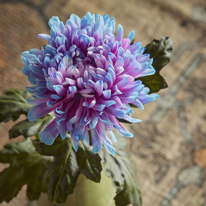 Ariadne At Home Drawn Dekbedovertrek 140 x 200/220 cm - Zand