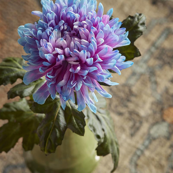 Ariadne At Home Drawn Dekbedovertrek 200 x 200/220 cm - Zand