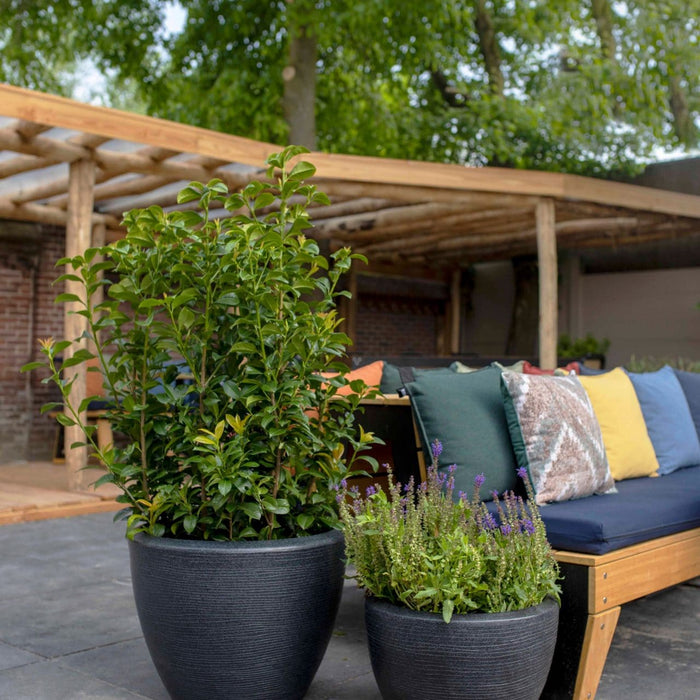 Capi Europe - Pot bol Arc Granite - Wit - 75x60