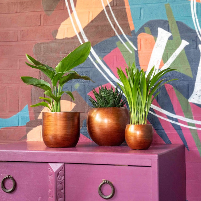 2aaff438-b985-4d33-8ddd-6b48d7c030db-sfeerbeeld.jpg (7818667)