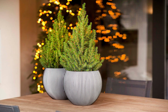 Capi Europe - Vaas bol Groove - 10x9 - Ivoor