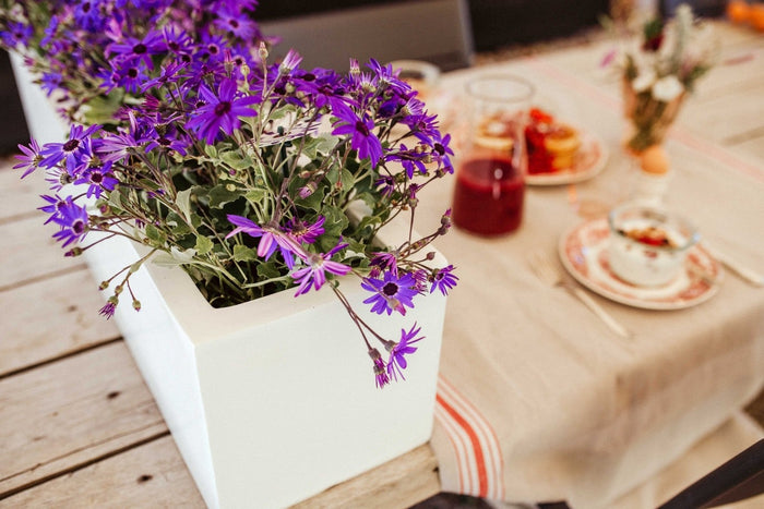 Capi Lux Bak rechthoek laag III zwart