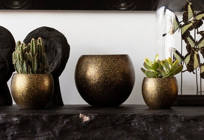 3e23007c-e4d6-4012-8bfb-4de7db26723e-afbeelding5.jpg (7818948)