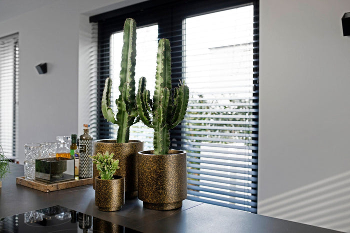 529ce72f-eb92-413b-89b8-31788a6677c9-sfeerbeeld.jpg (7818960)