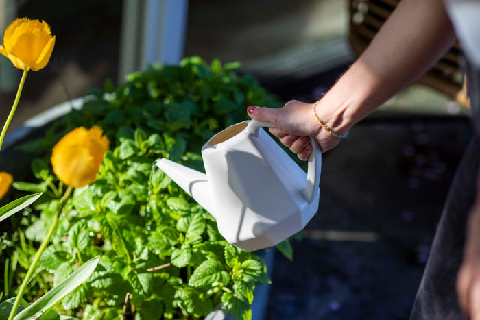 Xala - Gieter Doppio Smooth 2L - Zwart