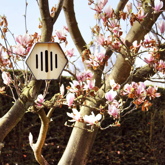 Capi Europe - Vlinderhuisje Hive - 19x23x20 - Antraciet