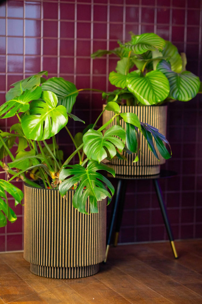 Capi Europe Vaas cilinder Groove NL - 35x38 - Antraciet