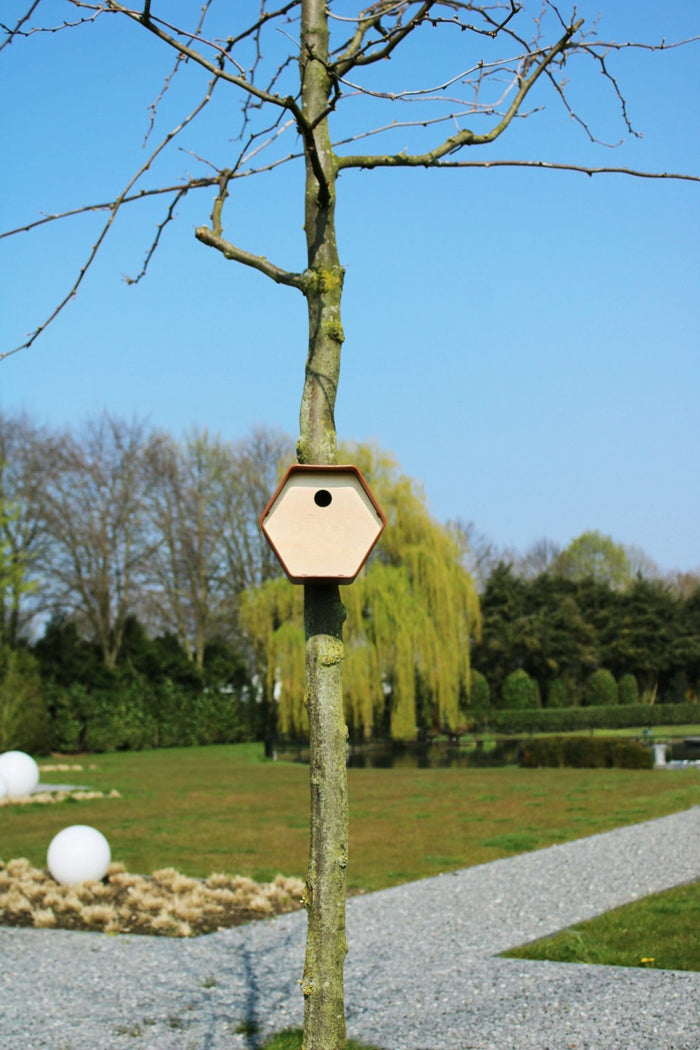 Capi Europe - Vogelhuisje rond Hive - 19x23x20 - Bruin