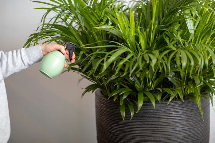 Xala Plantenspuit Chai 0,5L - 10x10x20 - Leigrijs