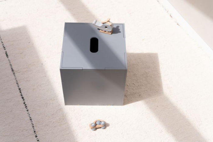 9f244fb9-7aa4-4280-8241-fc624b2fee03-afbeelding9.jpg (7835787)