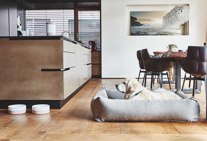 22735b34-626d-44b8-9d82-e1f12e190f9a-sfeerbeeld.jpg (7837158)