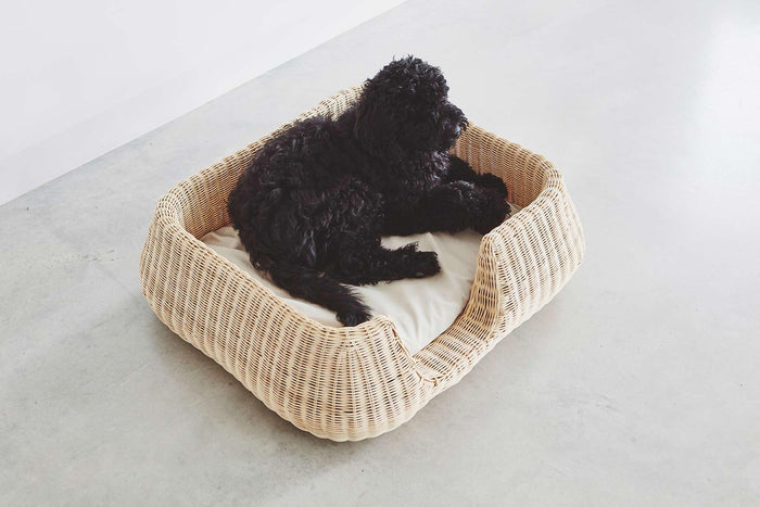 7587bf2a-fe7c-4ea6-a446-15325403dcba-sfeerbeeld.jpg (7842119)