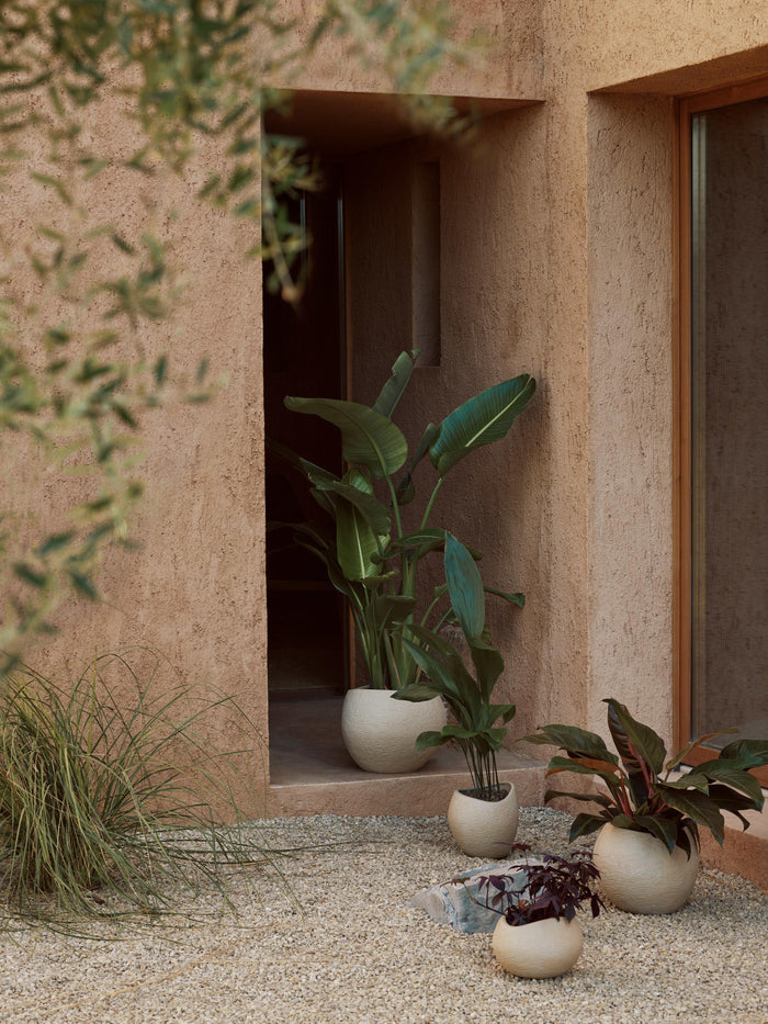 c57cbf07-e159-4219-a571-f86890377b2c-sfeerbeeld.jpg (7845466)