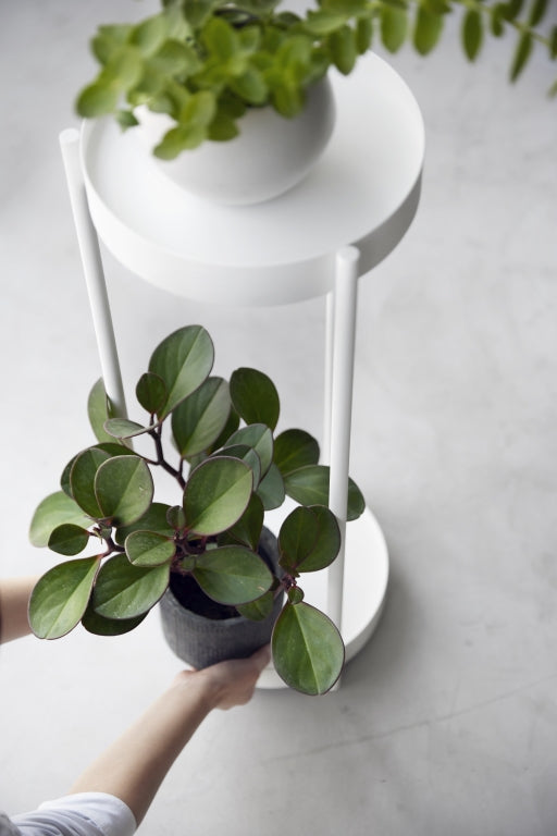 Yamazaki Plantenrek Binnen met Wielen - Tower - Wit