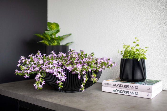 03722817-a684-4859-9e49-40afaf0399e4-afbeelding5.jpg (7904388)