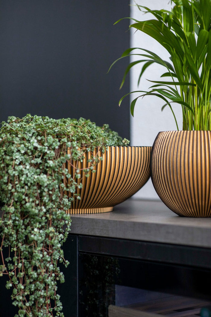 03722817-a684-4859-9e49-40afaf0399e4-afbeelding6.jpg (7904393)