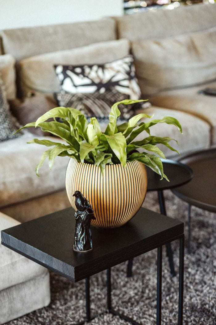 f3239b23-8bcc-4728-9efa-e343ce32851e-afbeelding4.jpg (7904402)