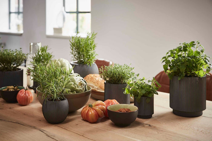 17b9442d-e2fb-474d-ac74-289a7dcfea62-afbeelding5.jpg (7904495)