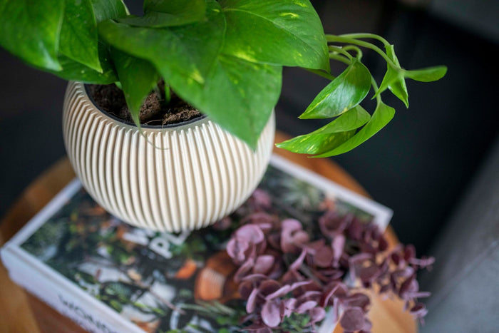 fc33a70e-9155-46d0-800d-ac1dc8c9ef92-afbeelding4.jpg (7904547)