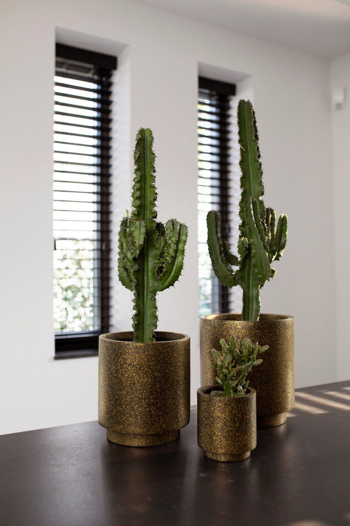 eb292cc2-037c-4ab0-a330-5c8662385001-afbeelding4.jpg (7904783)