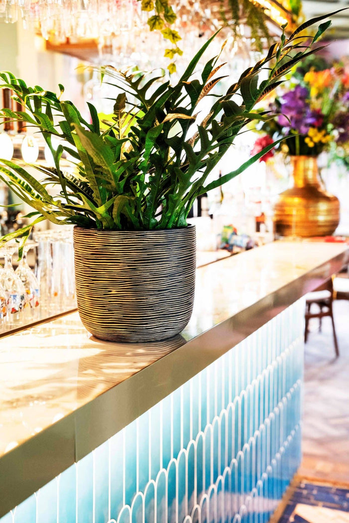 e1d25122-0fea-4abf-8b88-f5d9c00a23bb-afbeelding3.jpg (7904837)