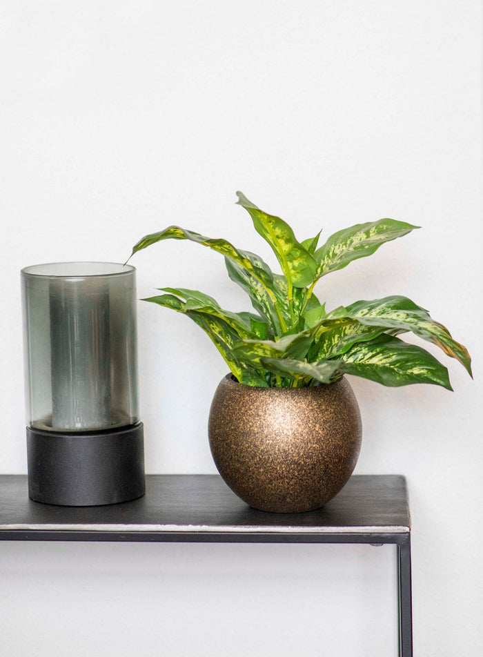 d6389208-9d9e-4a2c-8f9b-b26bbc1b66e6-sfeerbeeld.jpg (7904842)