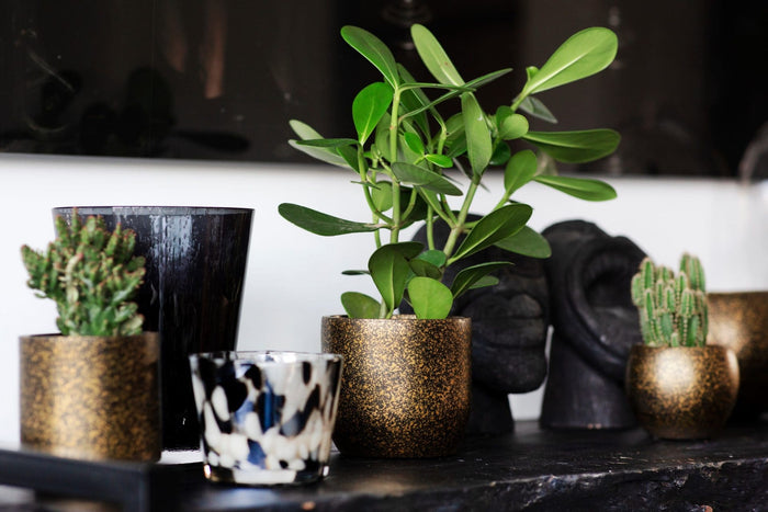 d6389208-9d9e-4a2c-8f9b-b26bbc1b66e6-afbeelding6.jpg (7904848)