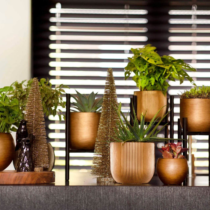 1eb51b45-e0a6-4de3-80b2-8f29fe81a5cd-afbeelding3.jpg (7904851)