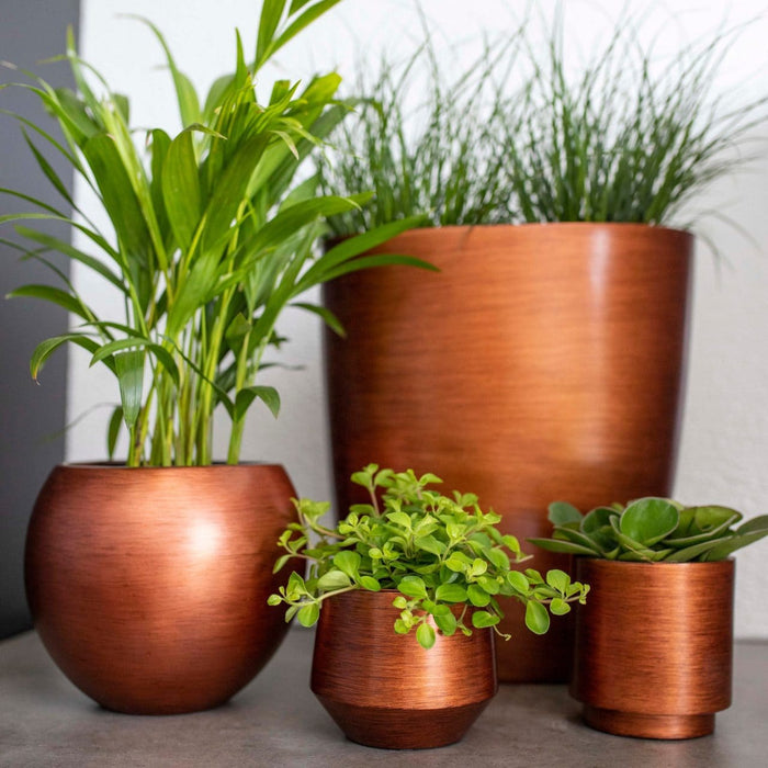 1eb51b45-e0a6-4de3-80b2-8f29fe81a5cd-afbeelding4.jpg (7904852)