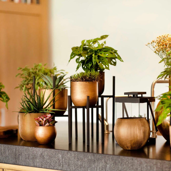 1eb51b45-e0a6-4de3-80b2-8f29fe81a5cd-afbeelding6.jpg (7904854)