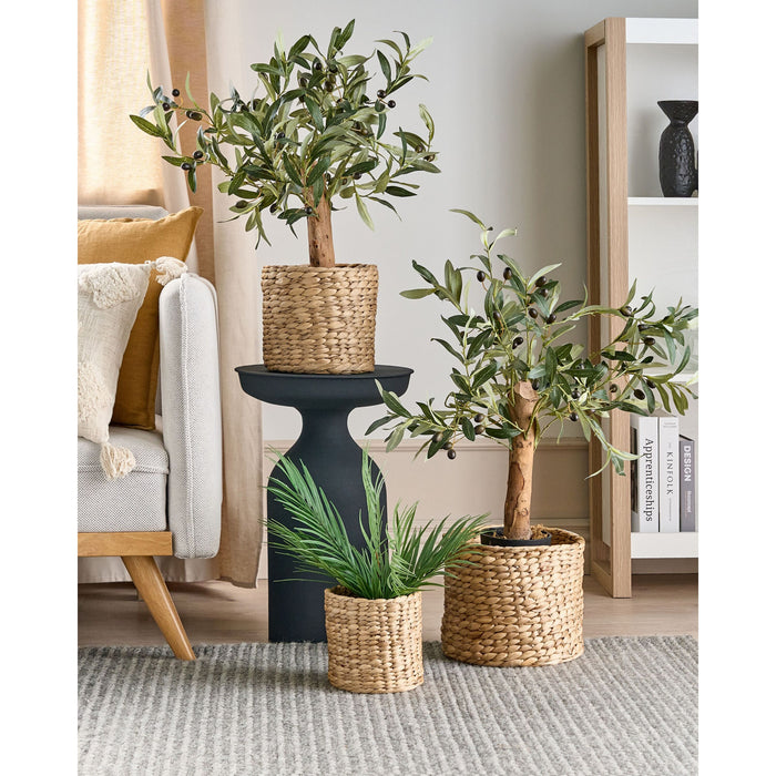 7e5127d1-46ee-4897-843f-e63bad930d45-sfeerbeeld.jpg (7905584)