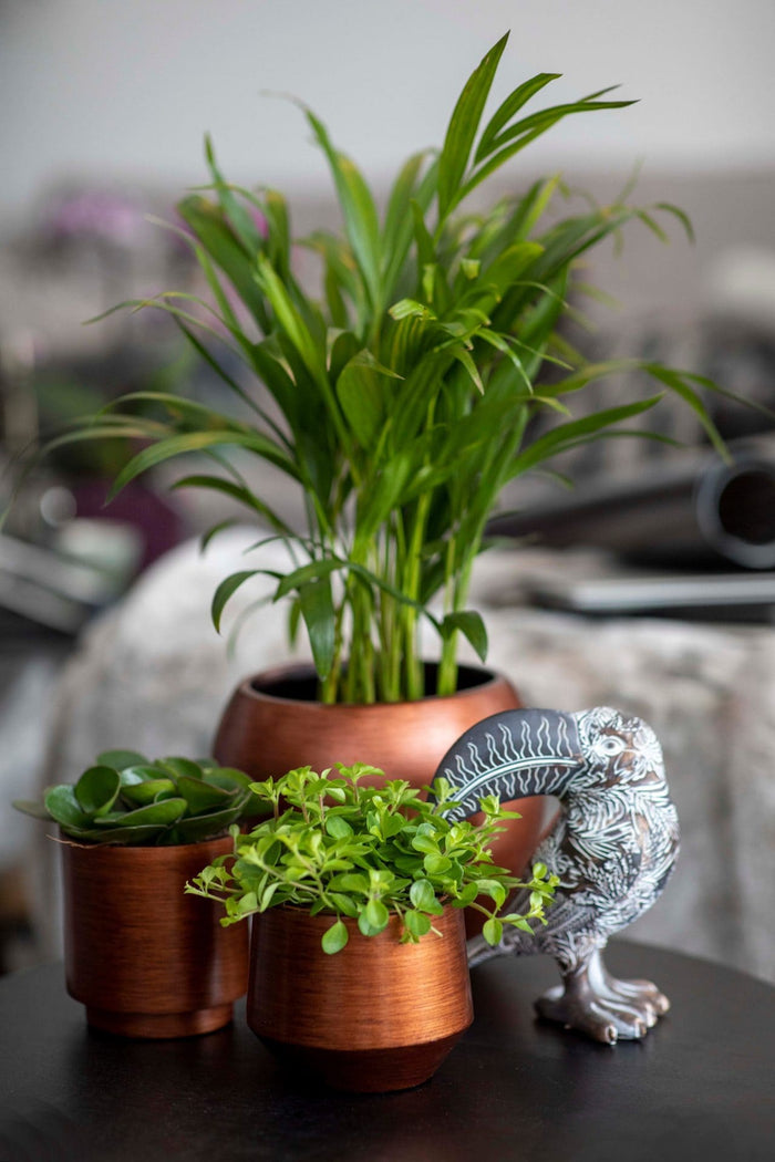 1a4dab83-88c8-4014-a567-23f08a5f6c21-afbeelding5.jpg (7907112)