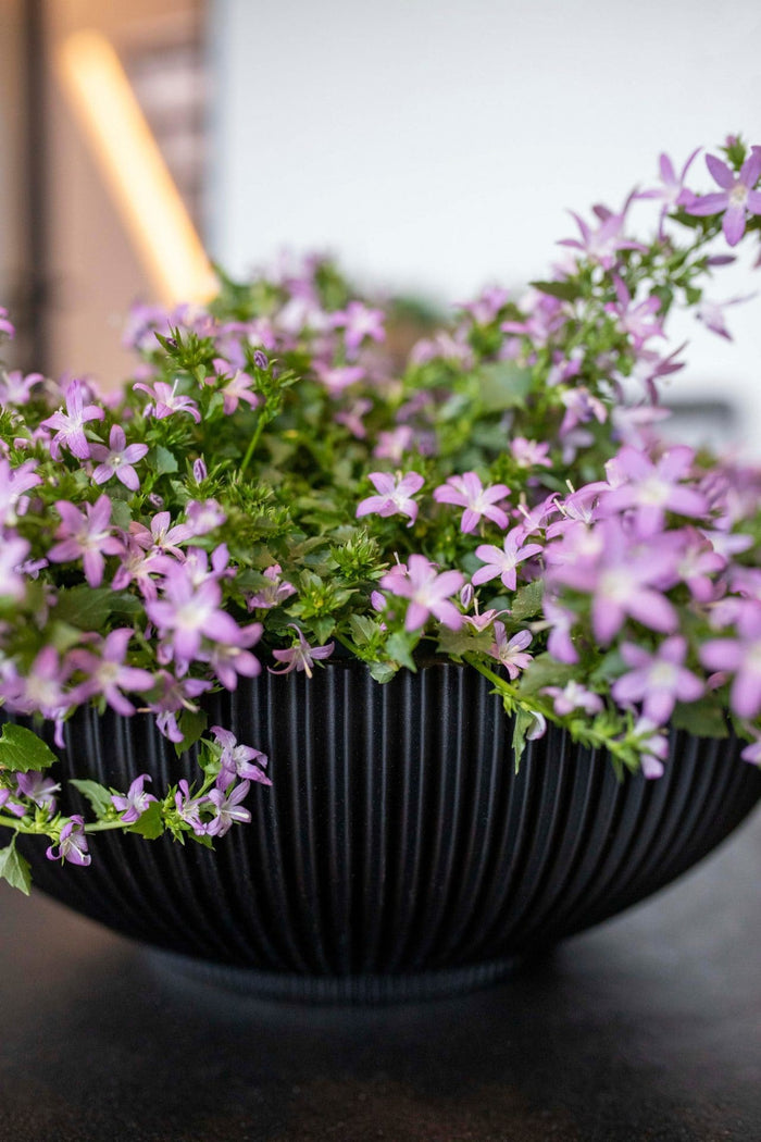 c2ebe135-f6d0-4878-a1be-789889242bd9-afbeelding3.jpg (7907182)