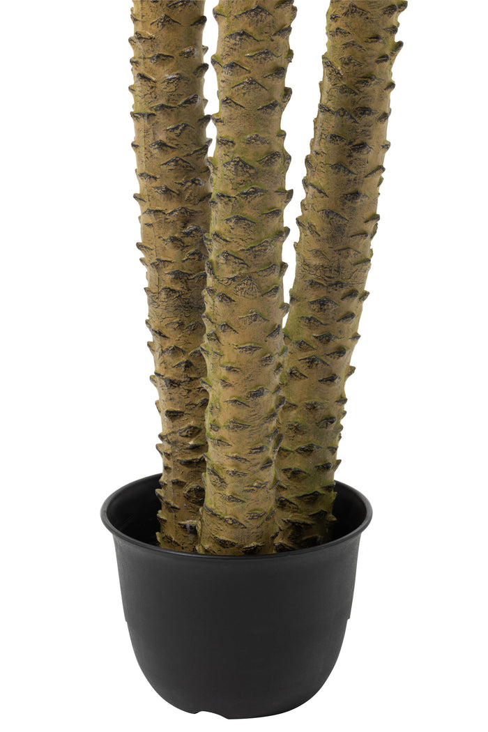 J-Line voorraadpot Lisa - glas - transparant - medium