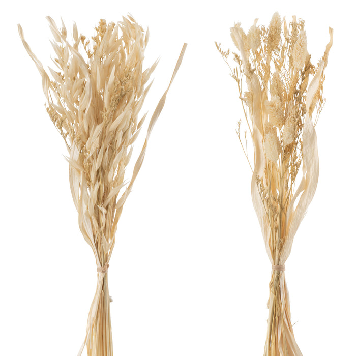 J-Line droogbloemen - Bundel gedroogde Avana gras - naturel