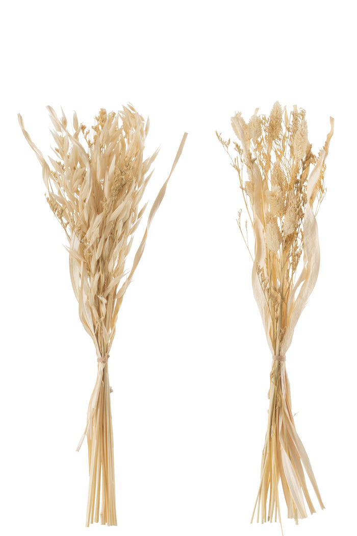 J-Line droogbloemen - Bundel gedroogde Avana gras - naturel