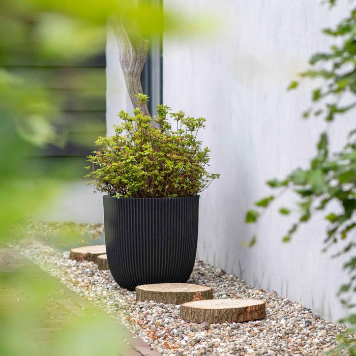 Capi Plantenbak Groove 35x34 cm zwart
