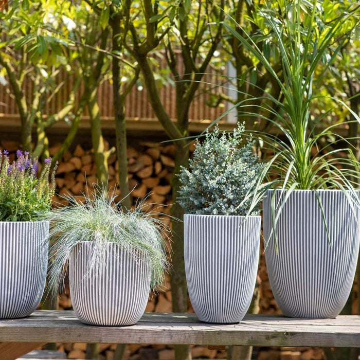 Capi Europe - Vaas elegant laag Groove NL - 34x46 - Antraciet