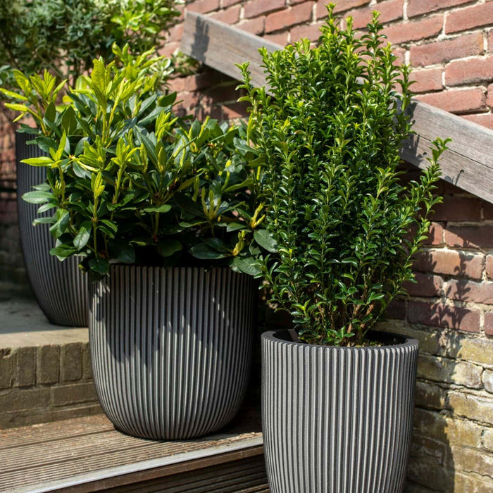 Capi Europe - Vaas elegant laag Groove NL - 34x46 - Antraciet