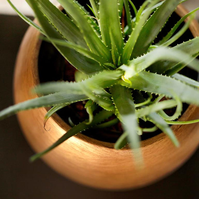 8bfb4d99-38e5-43c2-a50e-d1b7dba67b92-afbeelding3.jpg (8027719)