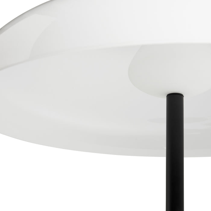 322629-x01-202403140222-A.jpg (8037430)