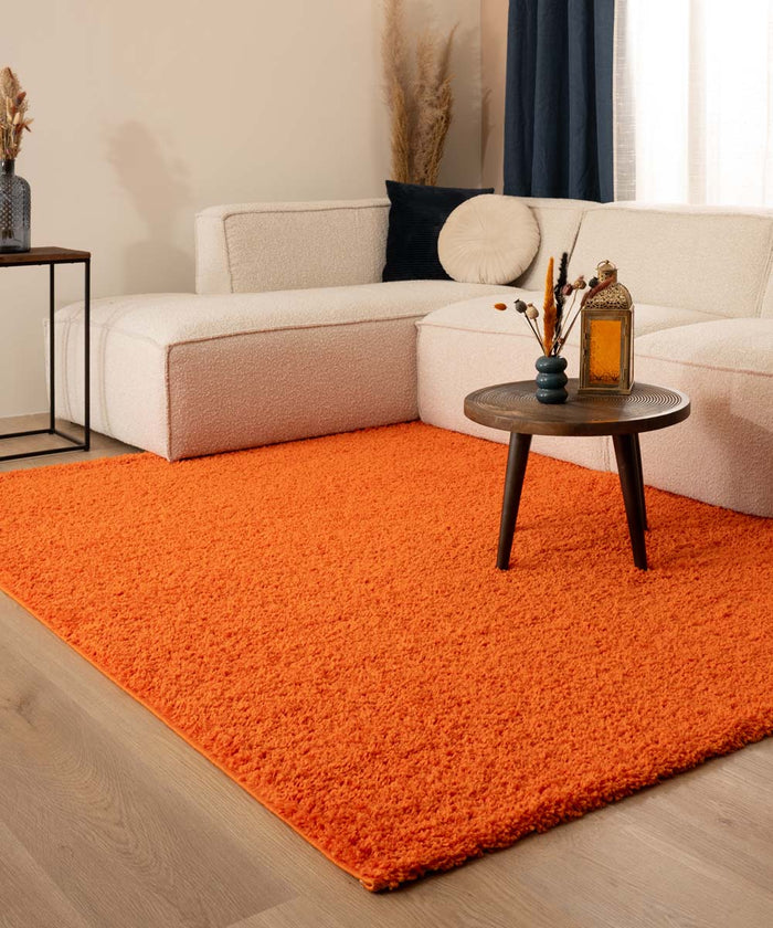 Tapeso Hoogpolig vloerkleed shaggy Trend effen - oranje - 200x300 cm