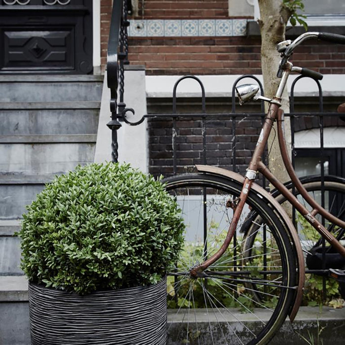 Capi Europe Nature Rib Rond Bloempot 43 cm