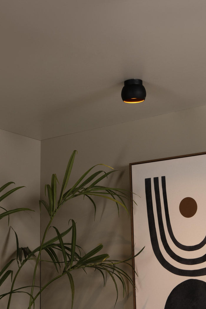 c5782d80-ddd6-4288-84eb-93abea9a876e-sfeerbeeld.jpg (8077799)