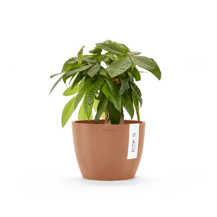 Ecopots Stockholm Mini 16 Terra